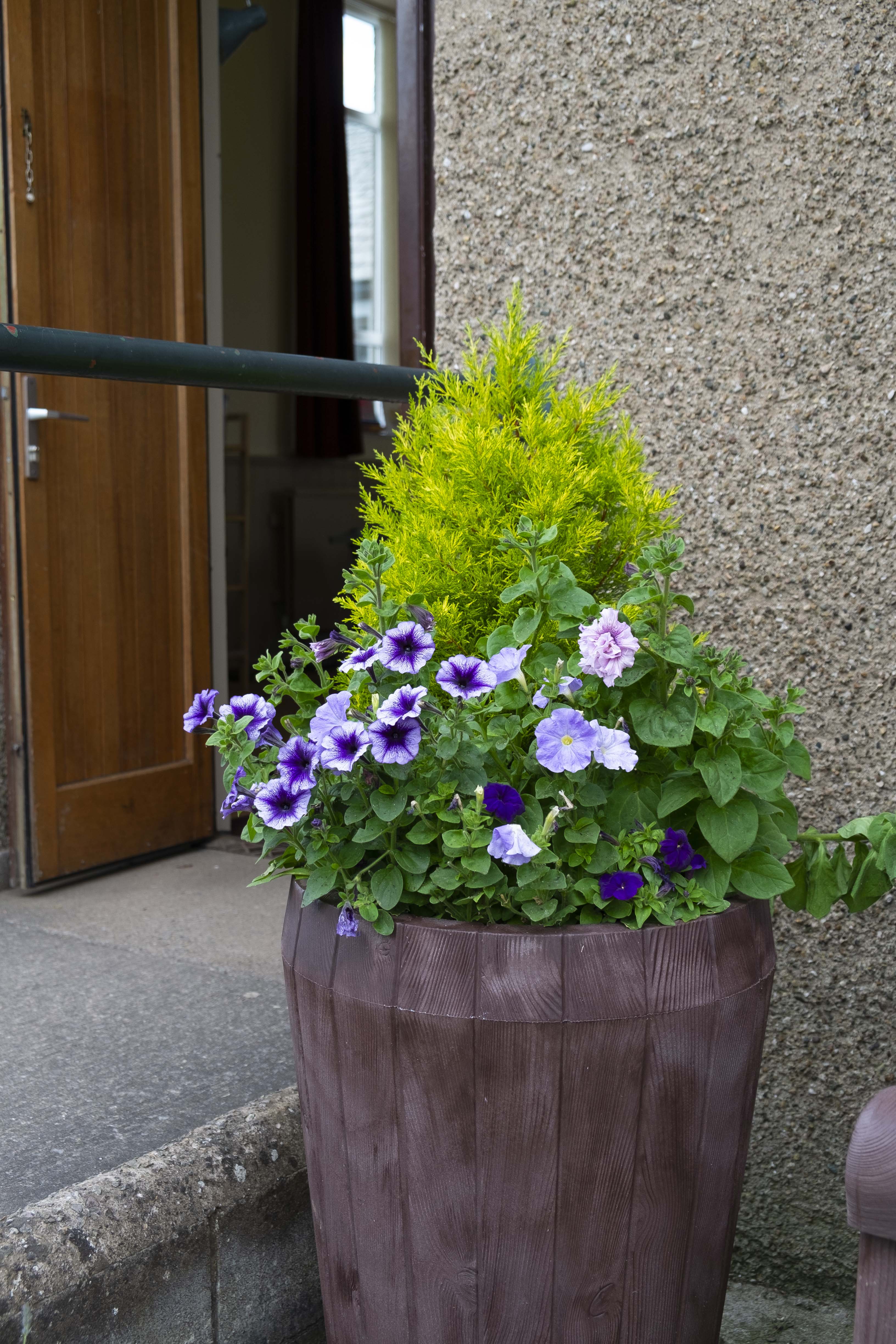 Memorial Hall planter