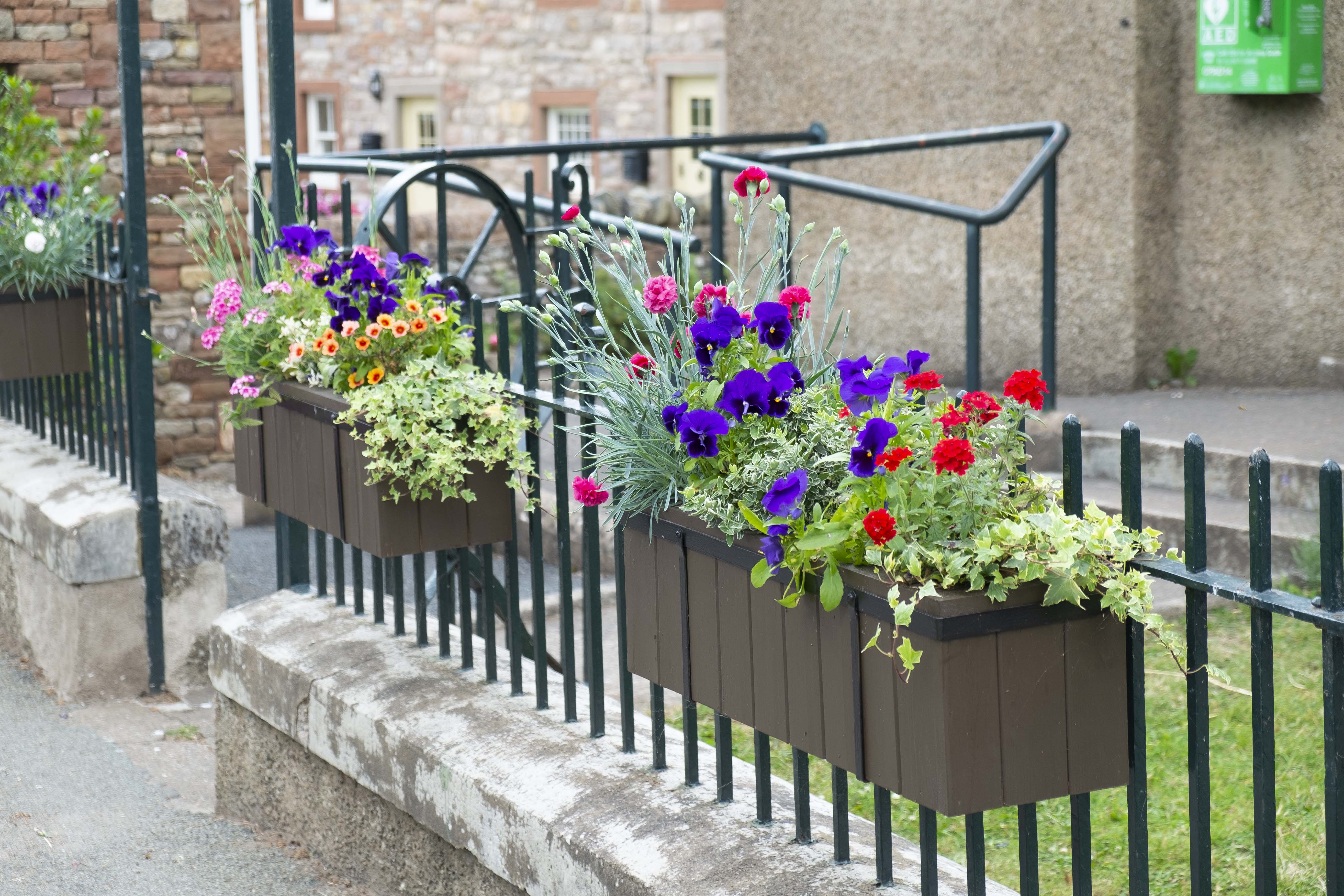 Planters at Memorial Hall