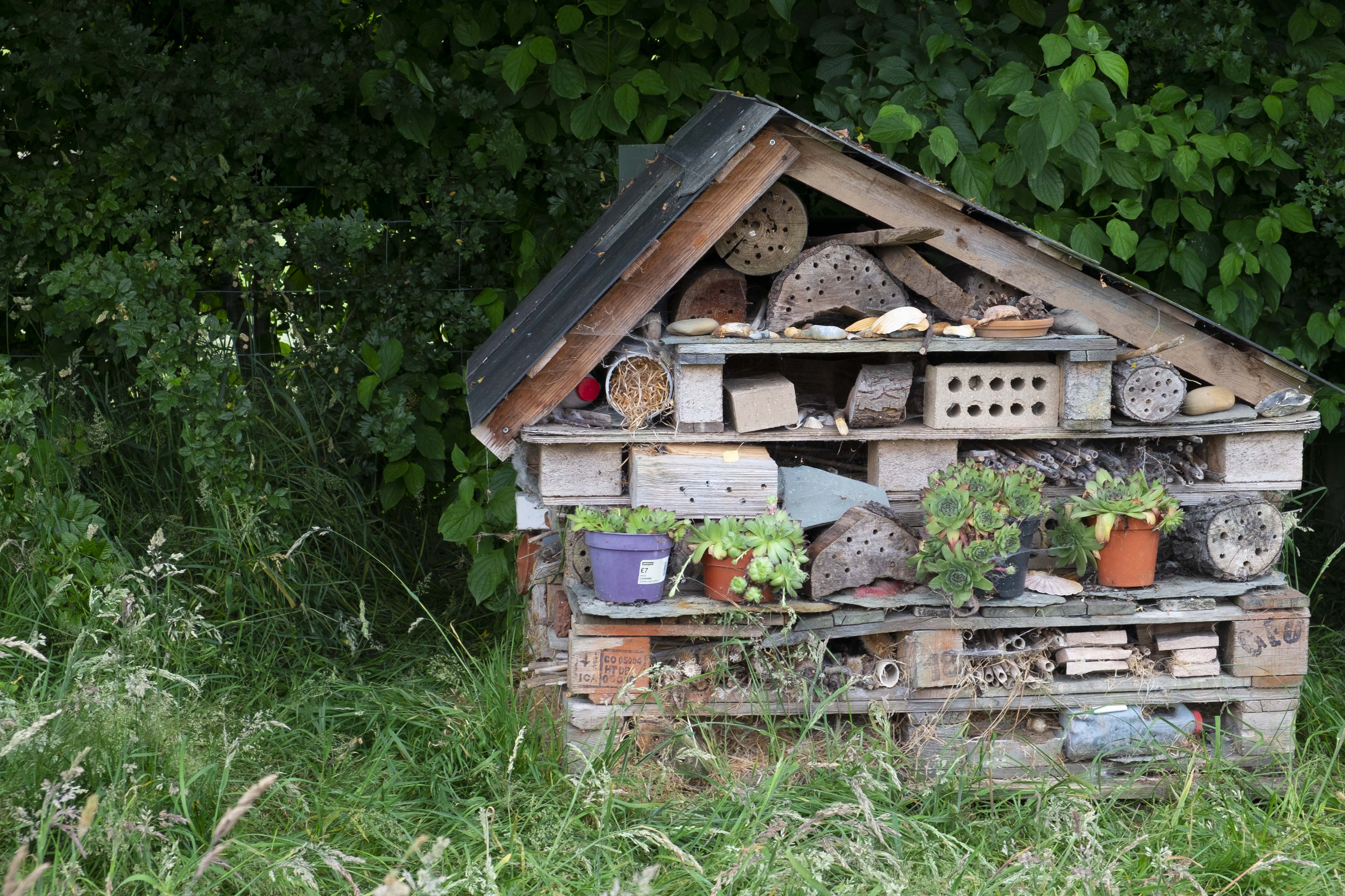 Bug hotel