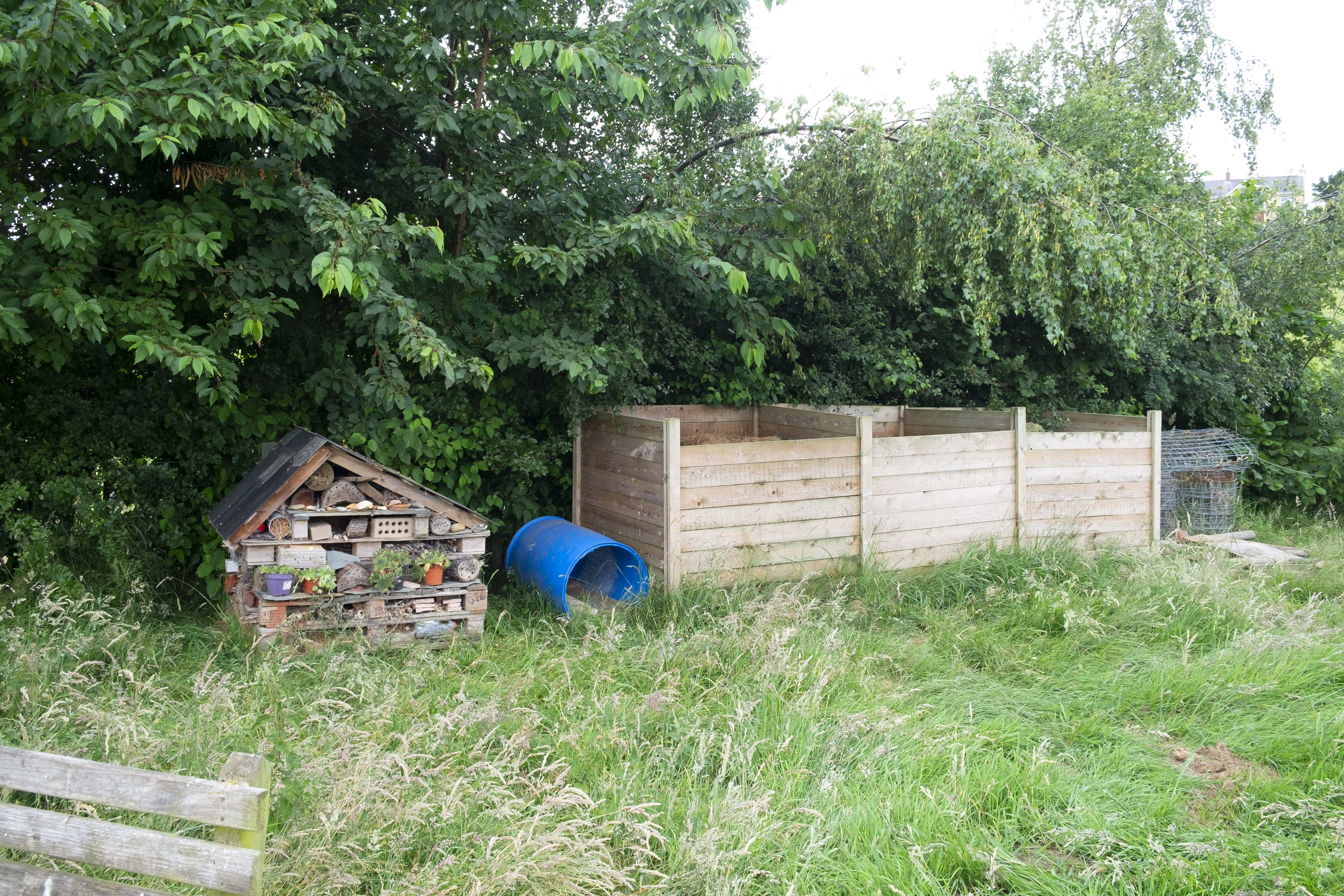 Compost bins & bug hotel