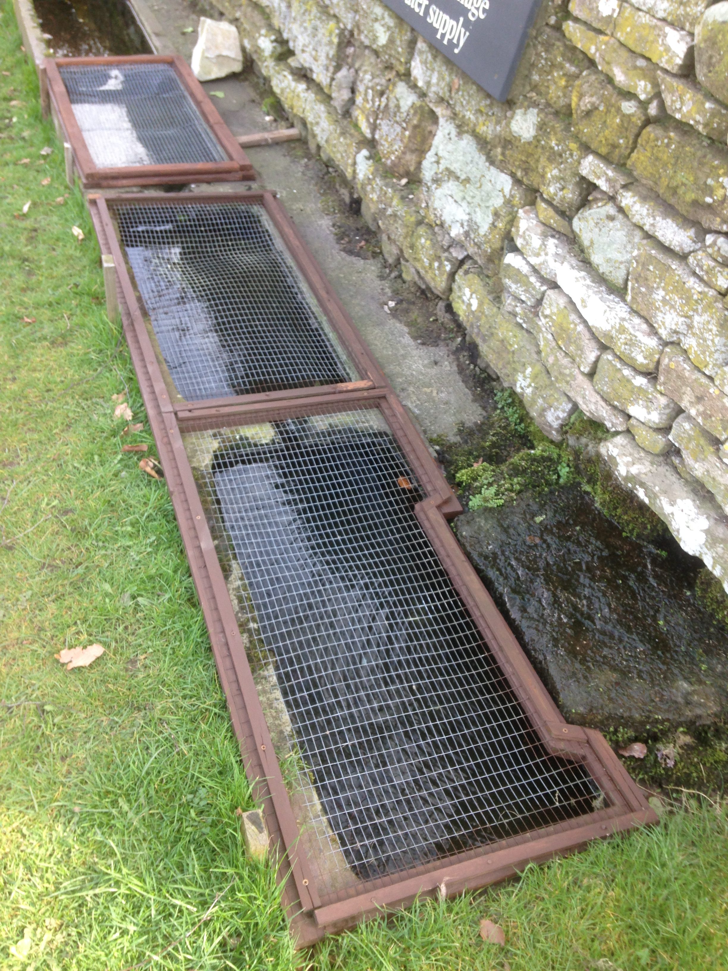 Top troughs