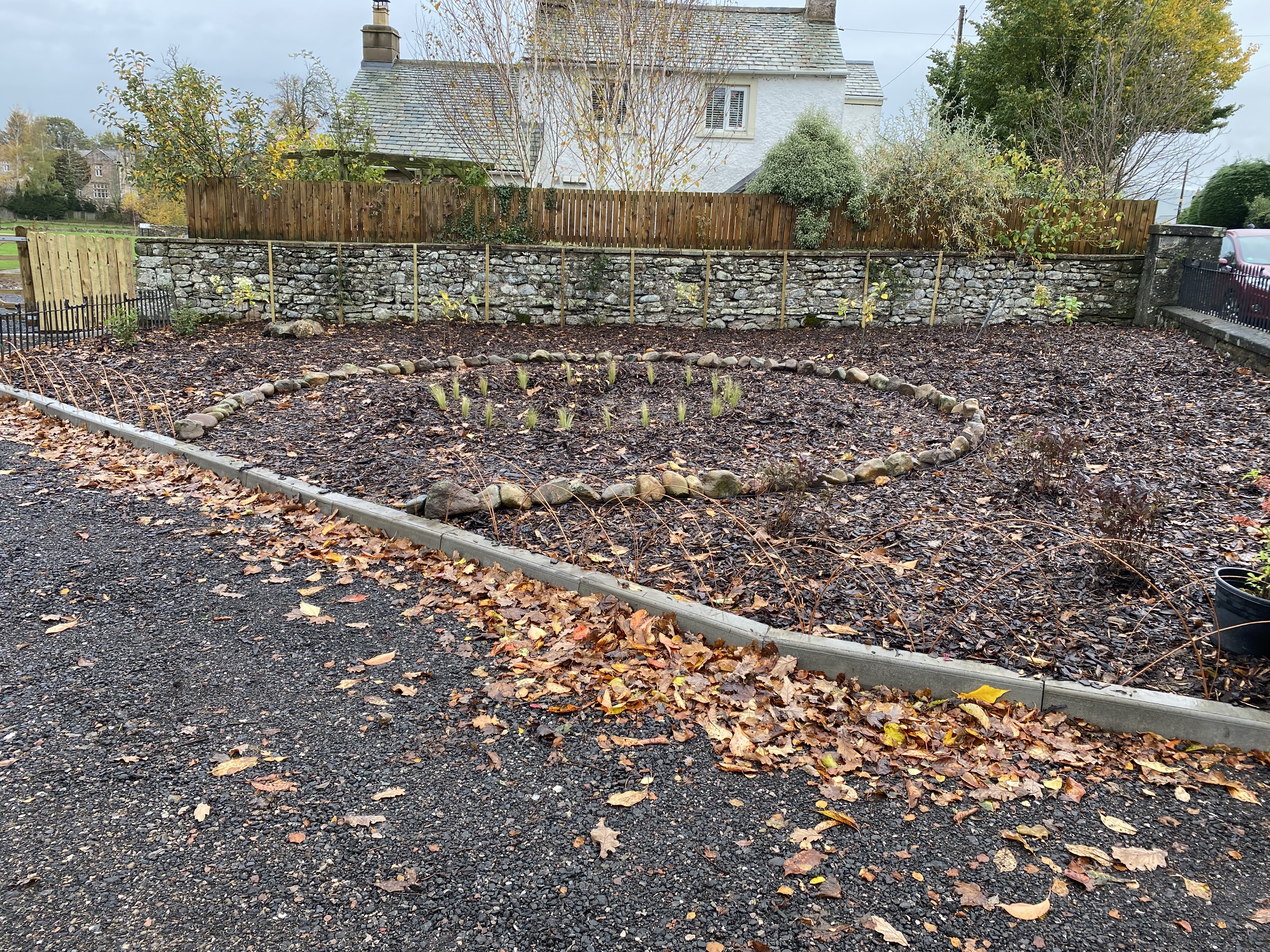 Car Park planting